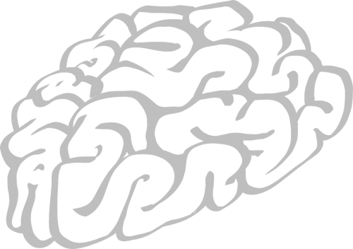 Smegenys, Žmogus, Smegenys, Galvoti, Stiebas, Galvos Smegenys, Biologija, Anatomija, Mąstymas, Žvalgyba, Galva, Mokslas, Kontūrai, Nemokama Vektorinė Grafika