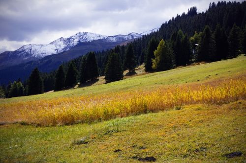 Brambrüesch, Graubünden, Šveicarija, Ruduo, Kalnai, Alpių, Gamta, Chur, Maliksas