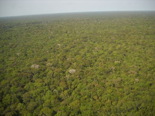 Brazilija, Amazon, Ekvatorinis Miškas, Žalias, Flora, Oro Vaizdas, Medžiai