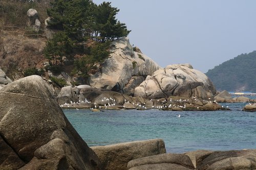 Pertrauka,  Hyuhyuam,  Ermitažas,  Roko Paplūdimį,  Žuvėdra,  Yangyang-Hunai