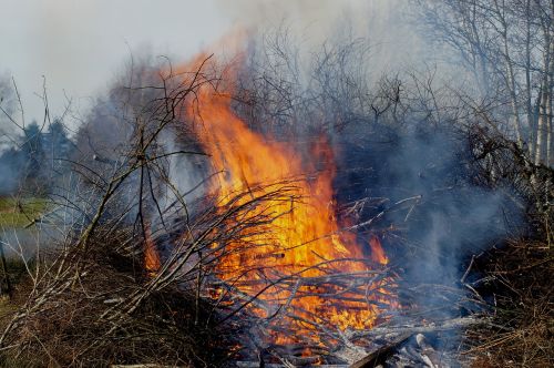 Brenntag, Rytinė Frisia, Dūmai, Ugnis, Tradicija