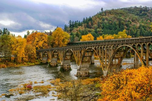 Tiltas, Kritimas, Upė, Lapai, Ruduo, Krito Medžiai, Geltona, Oranžinė, Oregonas