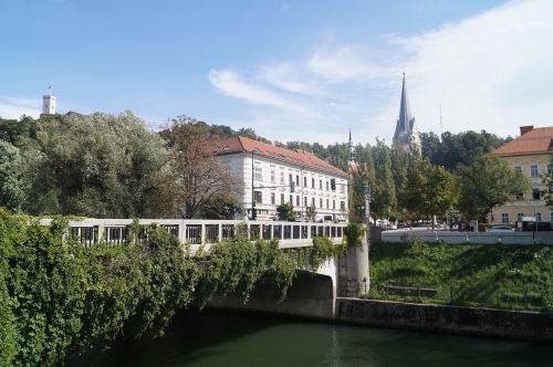 Tiltas, Slovenia, Laibach, Ljubljana, Upė