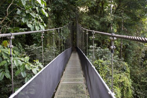 Tiltas, Atogrąžų Miškai, Kosta Rika