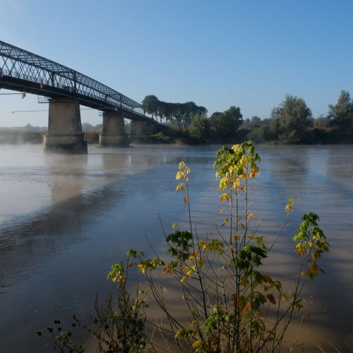 Tiltas, Garonne, Langoiran, Aquitaine, Pf
