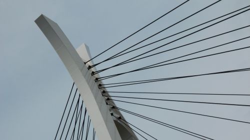 Tiltas, Tokyo, Japonija, Kraštovaizdis