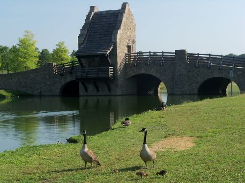 Tiltas, Žąsys, Gamta, Ežeras, Parkas, Viduramžių