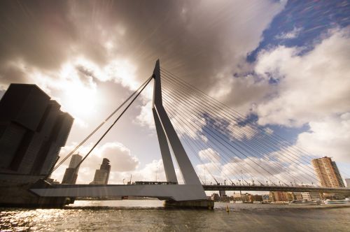 Tiltas,  Rotterdam,  Erasmus,  Mėlynas,  Dangus,  Miesto Panorama,  Panorama