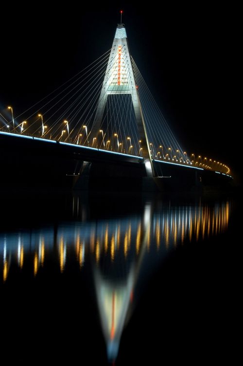Tiltas, Danube, Naktinė Nuotrauka, Gyvūnų Plaučiai