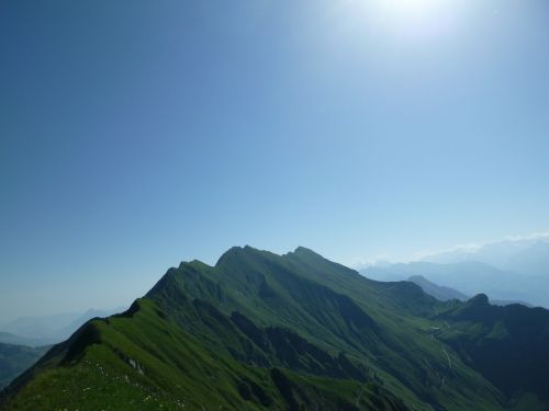 Brienz Rotor, Bergtour, Vasara, Alpių, Alpių Panorama