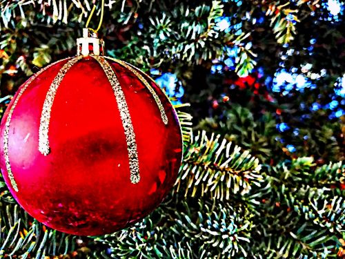 Kalėdos,  Kalėdos & Nbsp,  Medis,  Ornamentas,  Raudona,  Meno,  Šventė,  Xmas,  Ryškiai Raudoną Ornamentą Žydrųjų Medžių