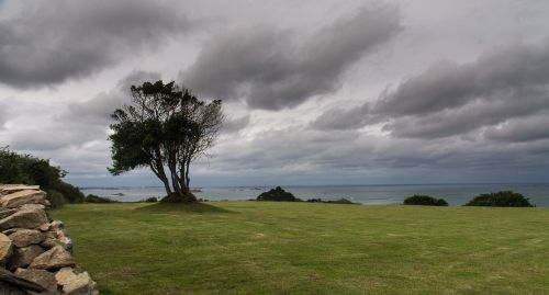 Brittany, France, Kranto, Medis, Persiųsti, Oras, Vaizdas