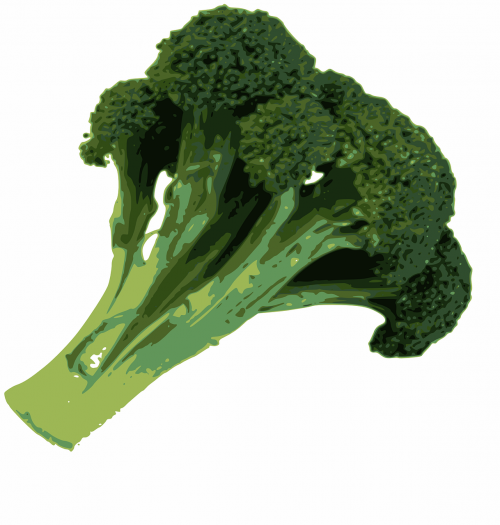 Brokoliai, Maistas, Žalias, Sveikas, Daržovių, Izoliuotas, Nemokama Vektorinė Grafika