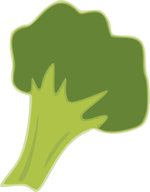 Brokoliai, Žalias, Daržovių, Maistas, Vegetariškas, Nemokama Vektorinė Grafika