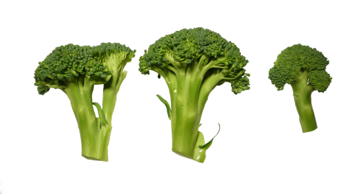 Brokoliai, Išpjovos, Daržovės