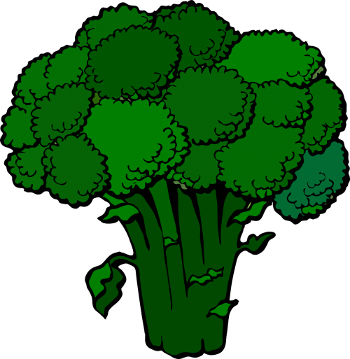 Brokoliai, Žalias, Šviežias, Maistas, Daržovių, Nemokama Vektorinė Grafika