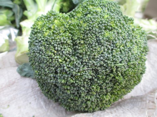 Brokoliai,  Daržovių,  Žalias,  Organinė,  Vegetarų,  Maisto,  Šviežias,  Sveiki,  Makro,  Spalva