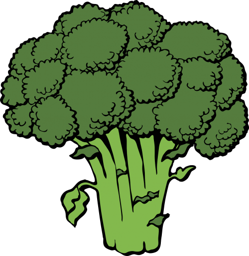 Brokoliai, Krūva, Galva, Žalias, Kryžmažiški, Sveikas, Šviežias, Žaliavinis, Daržovių, Maistas, Vegetariškas, Mityba, Nemokama Vektorinė Grafika