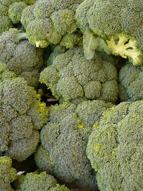 Brokoliai, Daržovės, Maistas, Žalias, Vitaminai, Sveikas, Valgyti