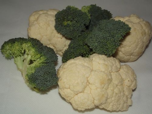 Brokoliai,  & Amp,  Žiediniai Kopūstai,  Florets,  Brokoliai Ir Amp,  Žiediniai Kopūstai (02)
