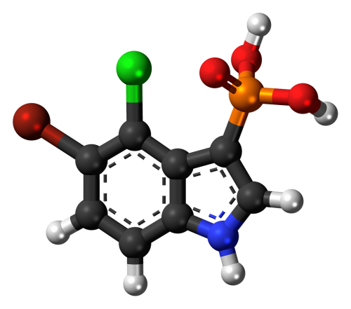 Brom-Chlor-Indolilfosfatas,  Bcip,  Chemija,  Atomai,  Modelis,  Bondings,  Tyrimai,  Junginys
