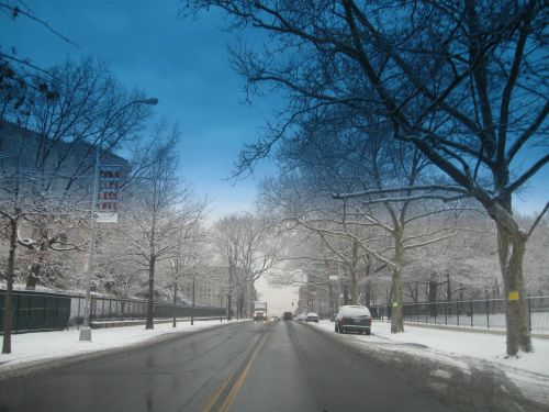 Brooklynas,  Sniegas,  Žiema,  Nyc,  Gatvė,  Brooklyn Winter