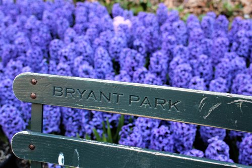 Bryant Park,  Tvora,  Gėlės,  Parkas,  Niujorkas
