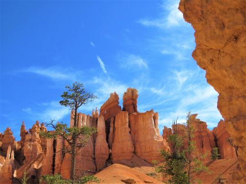 Bryce Kanjonas, Utah, Raudonasis Smiltainis, Mėlynas Dangus, Medžiai
