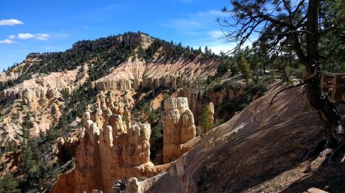 Bryce Canyon Nacionalinis Parkas, Utah, Hoodoos, Kraštovaizdis, Žiūrėti Gamtą, Smiltainis, Geologija, Nacionalinis Parkas, Pietvakarius, Vaizdingas, Susivienijimai, Bryce, Amerikietis, Kanjonas, Medžiai