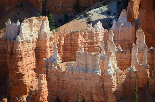 Bryce Canyon Nacionalinis Parkas, Bryce Kanjonas, Hoodoos, Peizažas, Utah, Kraštovaizdis, Erozija, Akmenys, Gamta, Žygis, Oranžinė, Lauke