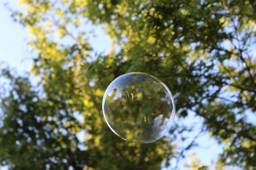 Burbulas, Burbuliukai, Medis, Dangus, Gamta, Lapai