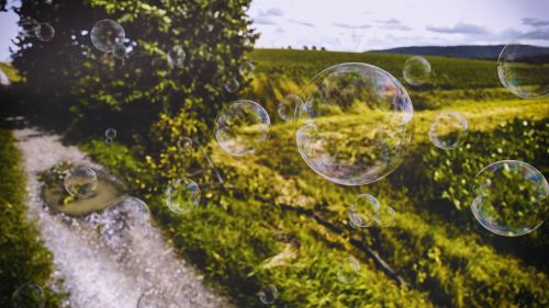 Burbuliukai, Žolė, Pieva, Žolės Takas, Realistiški Burbuliukai, Žalias, Gamta, Blenderis, Maišytuvo Ciklai, Ciklai, 3D, Aplinkos Apšvietimas