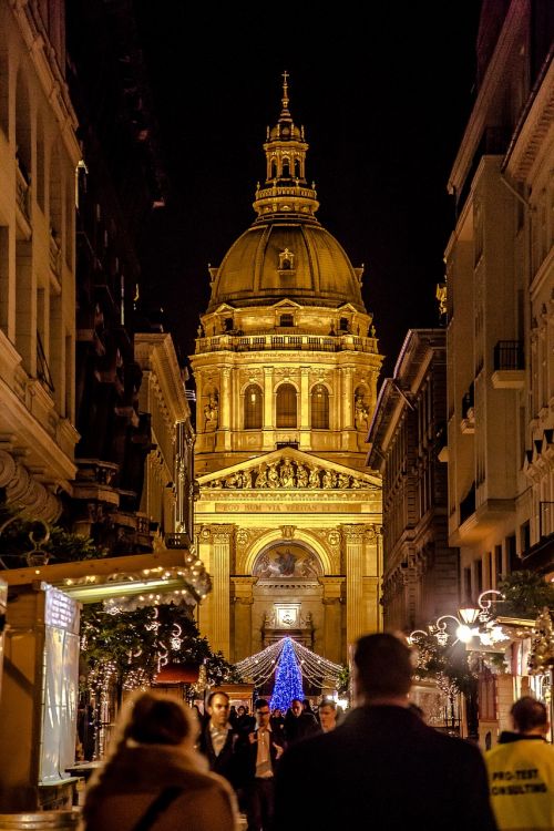 Budapest, Adventas, Šviesus, Naktį, Šviesa, Kalėdų Eglutė, Pušis