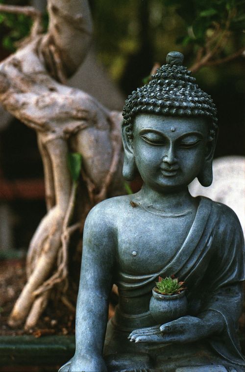 Buda, Meditacija, Statula, Religija, Dvasinis, Budizmas, Religinis, Budistinis, Taika, Zen, Kultūra, Skulptūra, Simbolis, Dvasingumas, Atsipalaidavimas, Meldžiasi, Figūra, Rytietiškas, Ramybė, Mantra, Bonsai, Medis
