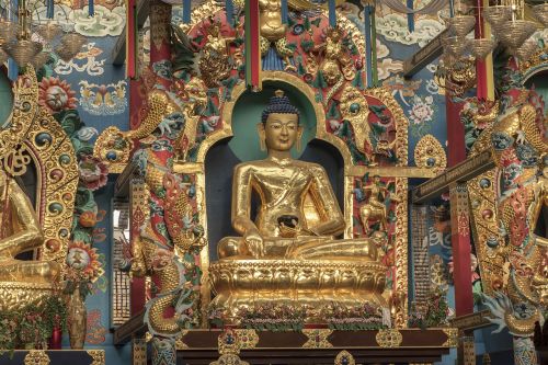 Buda, Vienuolynas, Bodhisatva, Tibetietis, Religinis, Meditacija, Auksas