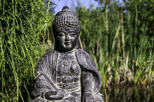 Buda, Feng Shui, Atsipalaidavimas, Sodas, Japoniškas Sodas, Tvenkinys, Nendrė