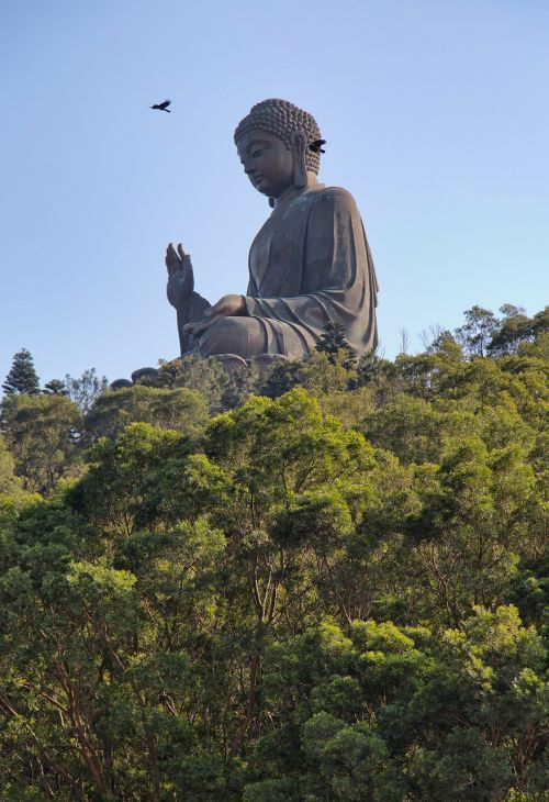 Buda, Honkongas, Lantau, Asija, Budizmas, Statula, Skulptūra, Dvasinis, Orientyras, Budistinis, Honkongas, Kelionė