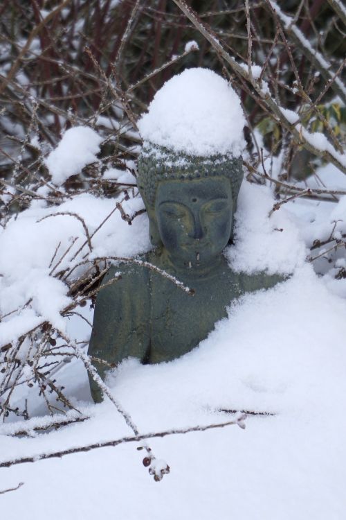 Buda, Sniegas, Žiema, Sodas, Žiemą, Gamta, Harmonija, Asija, Religija, Tikėjimas, Meditacija