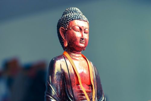 Buda, Statula, Meditacija, Rytas, Rytus, Figūrėlė, Zen
