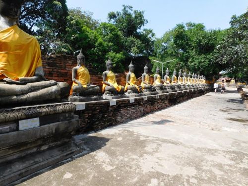 Buda, Ayutthaya, Tailandas