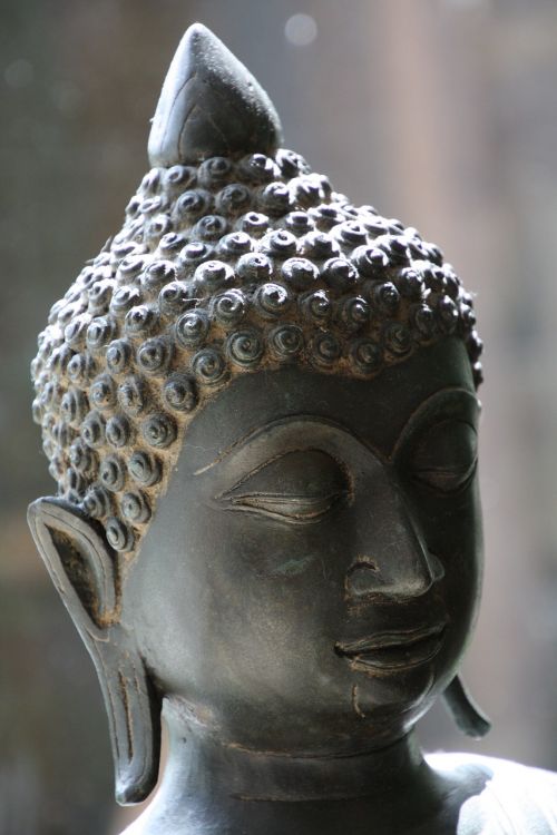 Buda, Veidas, Vaizdas, Budizmas, Poilsis, Zen, Meditacija, Galva, Ramus
