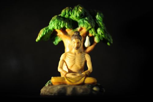 Buda, Apšvietimas, Bodhi Medis, Meditacija, Dvasinis, Taika, Žvilgsnis, Ramus, Kontempliacija, Išmintis