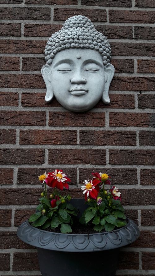 Buda, Religija, Veidas, Gėlės