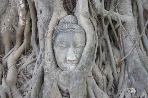 Buda, Budizmas, Tailandas