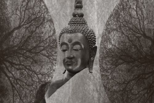 Buda,  Ayutthaya,  Tailandas,  Budizmas,  Meditacija,  Mistikas,  Be Honoraro Mokesčio