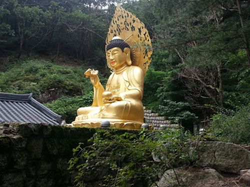 Buda, Korėja, Išmintis, Asian, Statula, Asija, Budizmas, Religija, Kalnas, Auksas, Didelis