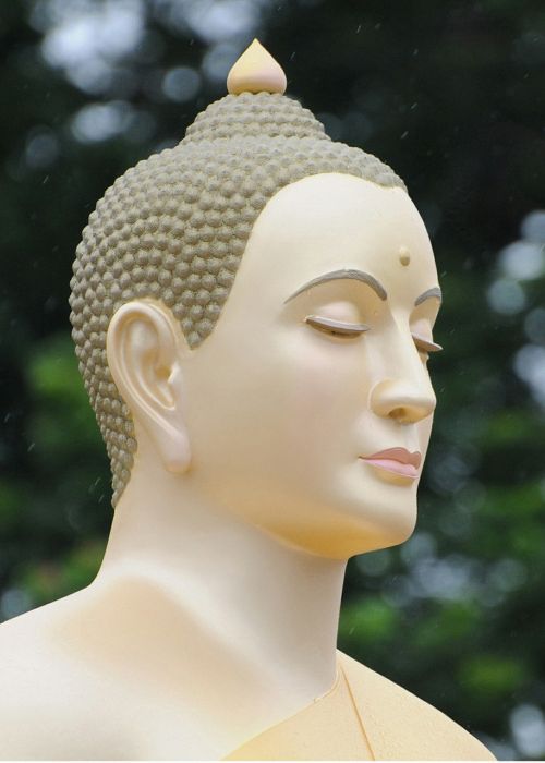 Buda, Budistams, Medituoti, Wat, Phra Dhammakaya, Tailandas, Galva, Religija