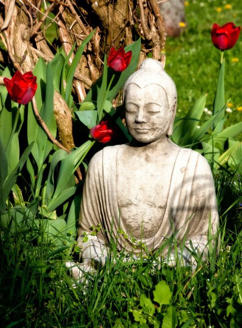Buda, Budizmas, Religija, Tikėjimas, Asija, Statula, Tulpės, Gėlės, Pavasaris