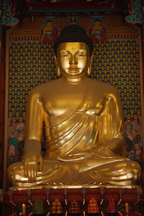 Buda,  Statula,  Asija,  Auksinė Statula,  Pietų Korėja,  Budizmas,  Šventykla,  Seulas,  Religija