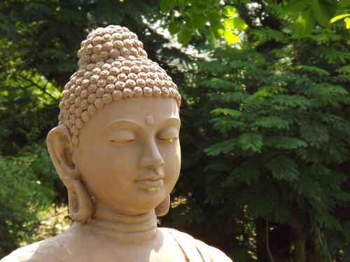 Buda, Galva, Garde, Statula, Budizmas, Asian, Veidas